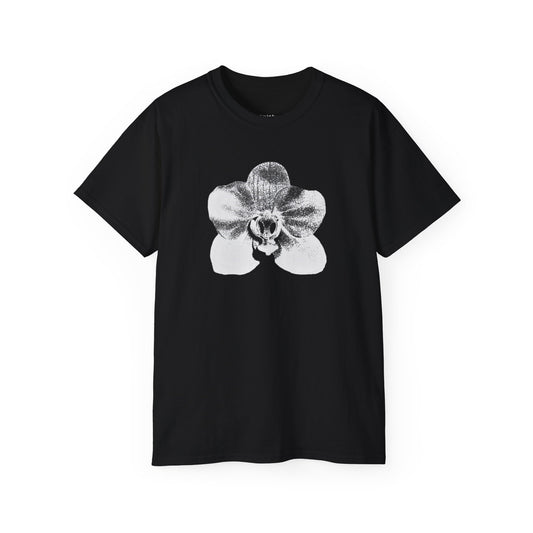 "pain ≠ punishment, pleasure ≠ reward" tee